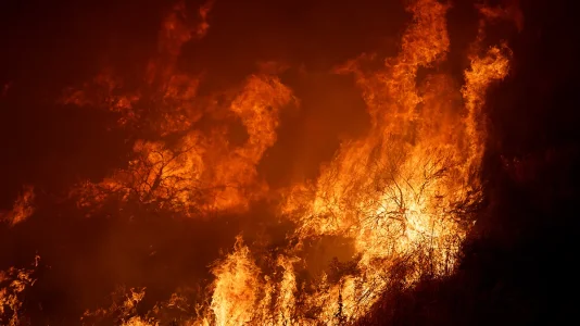 cal-wildfire.webp