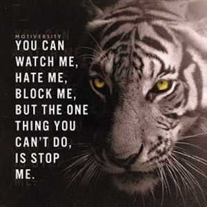 Screenshot 2025-10-04 at 5.19.31 PM.png Screenshot 2025-10-04 at 5.19.31 PM.png